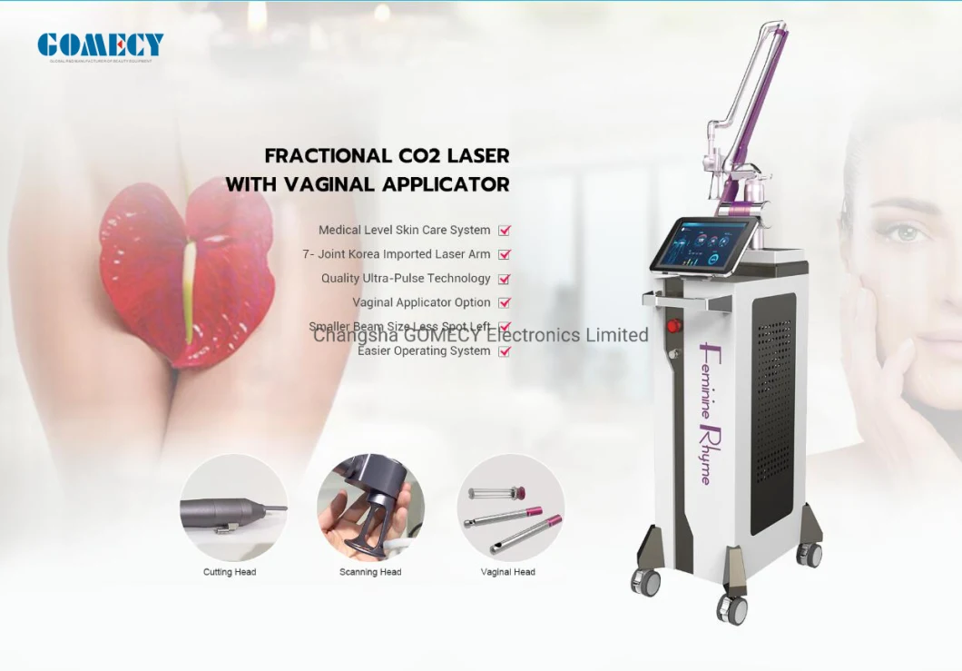 Vertical 60W Fractional CO2 Laser Machine