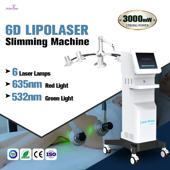 5D 6D Lipolaser Lipo 레이저 녹색 빨간 가벼운 체중 감소 레이저 Lipo 슬리밍 바디 쉐이핑 기계 Lipo 레이저(살롱/가정용 CE/RoHS/FDA/ISO 포함)